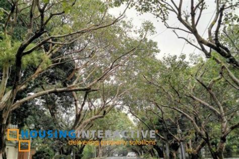 difference of subdivision and village|Gated Communities vs. Open Subdivisions: Safety and Lifestyle .